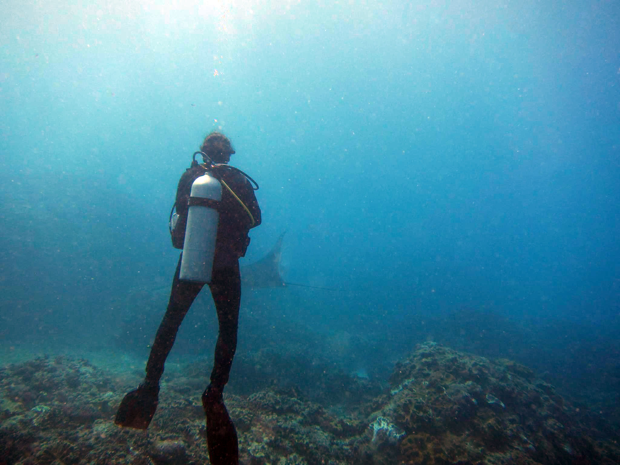 Saruhan Padi Divemaster trainee at Legend Diving Lembongan diving