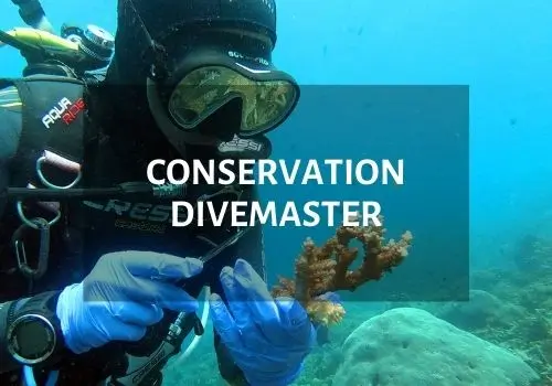 conservation Divemaster couse Nusa lembongan