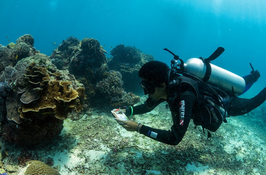our facilities nusa lembongan coral reef