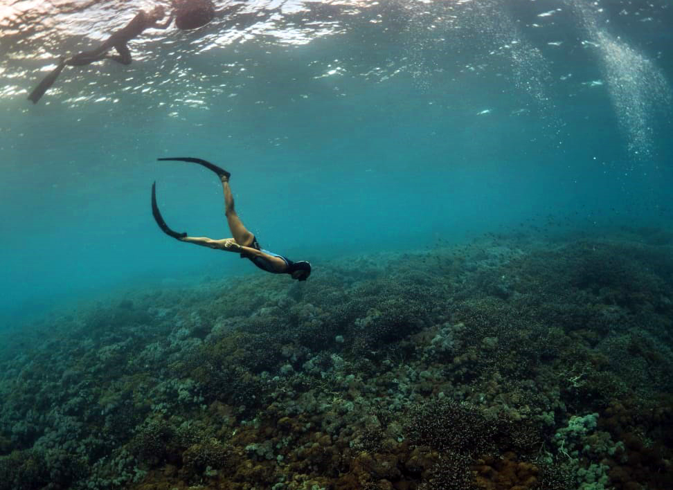 Freediving with Shayne