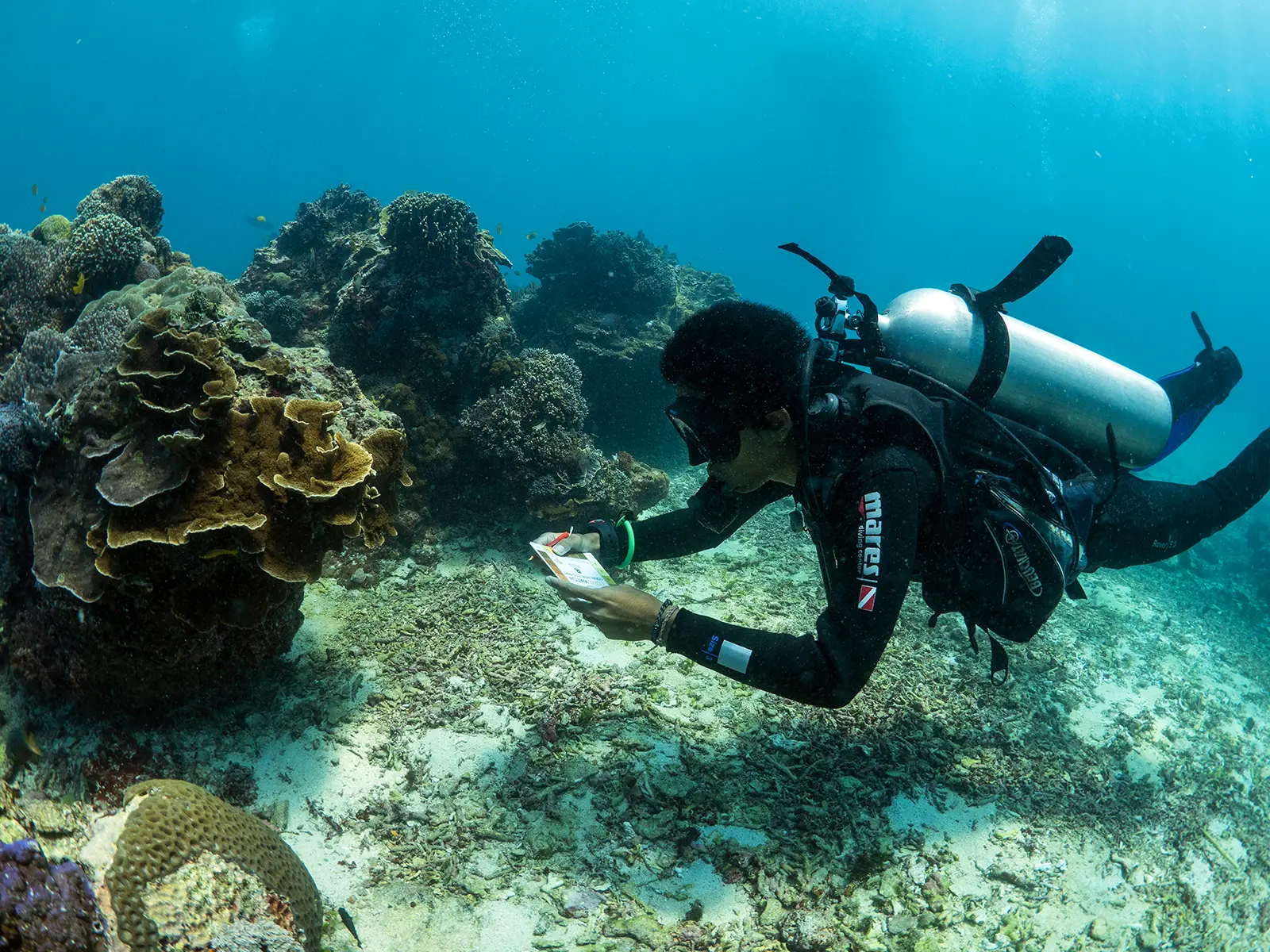 divemaster conservation nusa lembongan reef watch